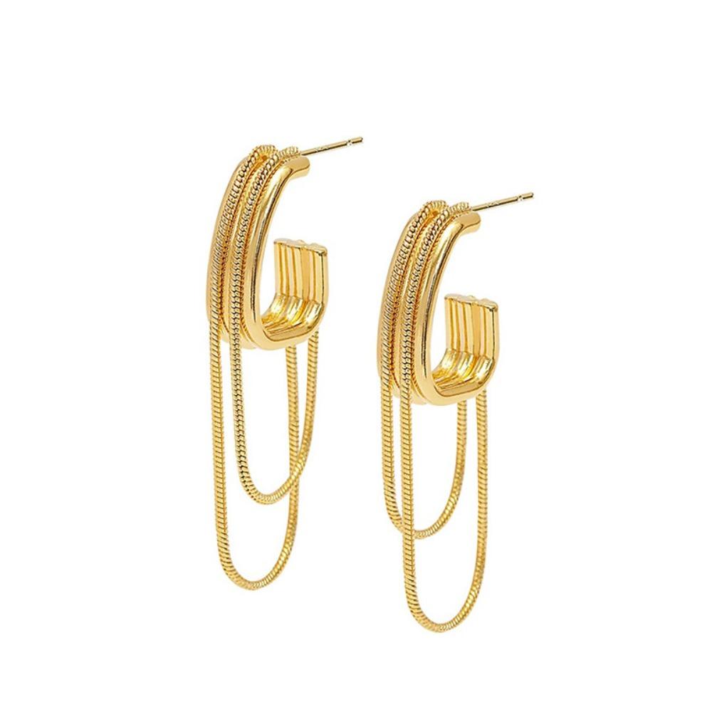 Ear Accessory Women's Drop Earrings Metal Dangle Earrings Tassel Geometric Earrings Wedding