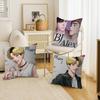 BJ Alex Cushion Cover Decorative Pillow Sofa Home Decor Case Pillow Cases