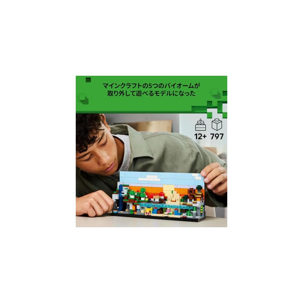 LEGO Minecraft Mini Biome Building Set 21589 for Kids Age 12+ - Creative Toy for Boys and Girls
