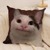 Funny Cat Meme Pillow Cover Short Plush Polyester Cushion Case Decor Throw Pillowcase Home Deco