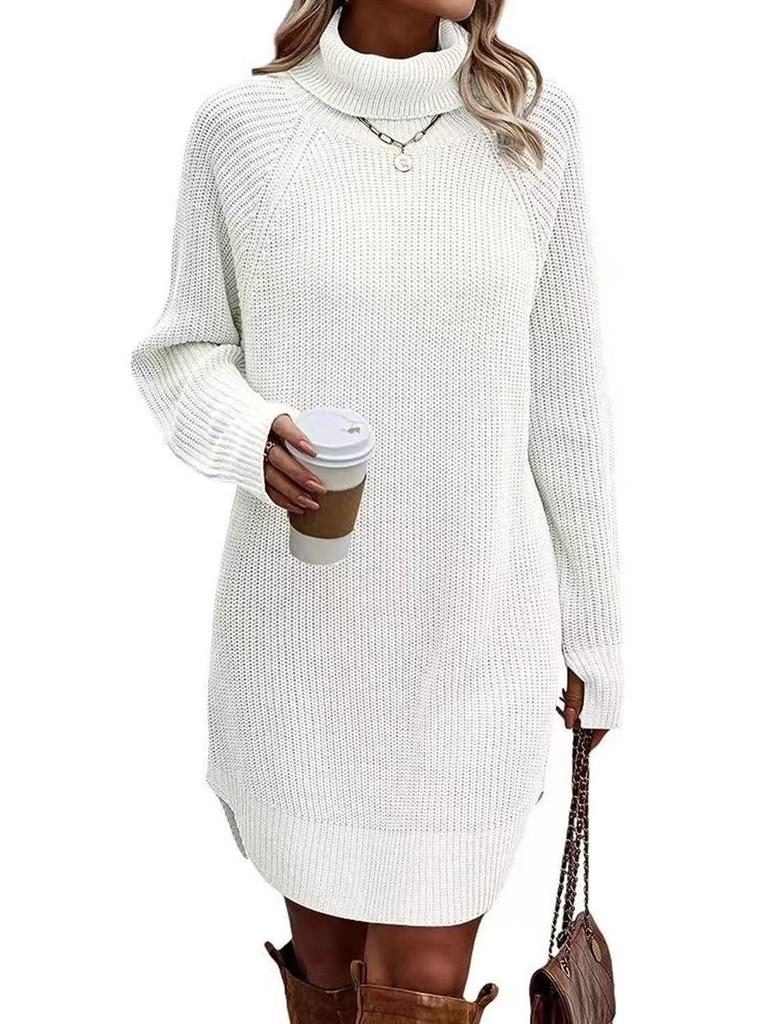 Women's High Neck Button Detail Knit Sweater Dress Loose Sleeve Mini Dress Multi Colors
