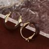 Autumn Winter Vintage Women's Earrings Pendant Amber Ear Stud Amber Color Earrings  Women