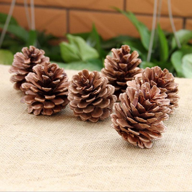 2-14cm Pine Cone Christmas Decoration Pendants - Dried Fruit and Photography Props Accessories