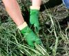 Showa Gloves PVC Green Simple 10 Gloves, Jersey, Packaging, Pairs, Large, NO600-L10P