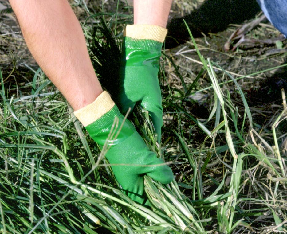 Showa Gloves PVC Green Simple 10 Gloves, Jersey, Packaging, Pairs, Large, NO600-L10P