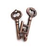 Adult and Children's Educational Alloy Key Lock Puzzle Toy: Luban and Kongming Locks with Nine-Linked Rings