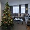Artificial Christmas Tree Green Large 220 X 120 Spruce + Stand [Choinka4]