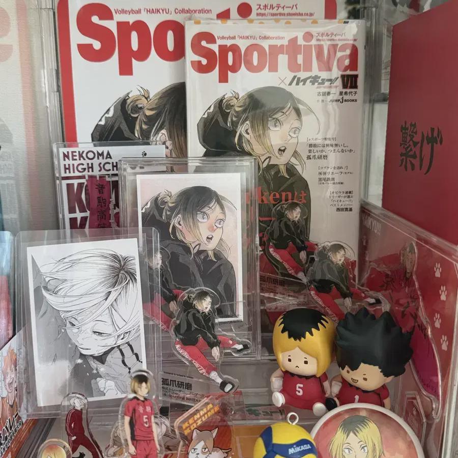 

Партия сувенирной продукции Haikyu Kenma Acrylic 10th Anniversary Chronicle Memories Snap Diorama