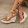 Fashion Summer New Style High Heel Sandals for Women Round Head Open Toe Waterproof Platform Anti-slip Wear-resistant Slope Heel Shoes