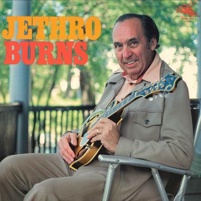 LP platňa JETHRO BURNS - Jethro Burns FF042 FLYING FISH 1977 US Country/Folk Použitá