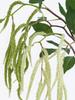 Artificial Drooping Foxtail Millet Spray Grass Hanging Faux Millet Flower for Floral Arrangements Home Decor Wedding