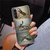 Bugs Bees Scientific Decomposition Phnoe Case for Samsung Galaxy A17 A37 A57 A16 A26 A36 A56 A15 A14 A13 A55 A54 A53 A35 A34 A33
