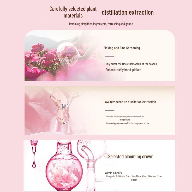 Bise Damaszener Rosen Hydrosol Anti-Falten & Feuchtigkeitsspendender Toner