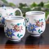Waza No Kura Stylish Pair of Teacups and Teapot Kutani Ware Tessen Japanese Made In Perfect Gift for or 88th Birthdays Sets, Ceramic, High-Quality
