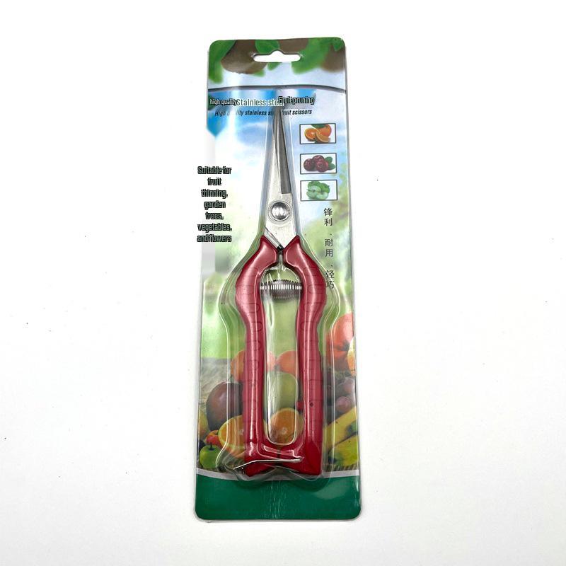 Forbici da potatura per uva e fiori in acciaio inossidabile disponibili - Forbici per giardino e piante in vaso