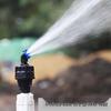 4-Minuten Wasservogel Stativ Rasen und Garten Drehbarer Sprinkler mit Einstellbarer Bewässerung