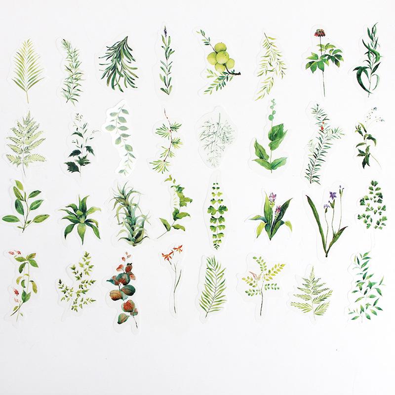 

Four Seasons Pomelo Botanical Washi Stickers – Large 34-Piece Pack 9*13 cm