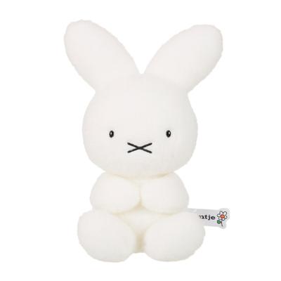 Bambole e peluche – Pupazzi - personaggi di cartoni animati e films