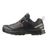 SALOMON X Ultra ALPINE Textile, Leather Cushioning Abrasion Resistant Waterproof And Breathable Coverage Low top 492142