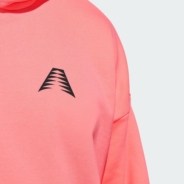 adidas Originals Ae Foundation Hoodie Men Hoodies Acid-Red IR5638