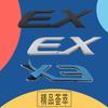 3D Premium EX E X for Japan Japanese SUV Off Road car Engine Hood Fender trunk Tail Rear Decal Emblem Badge Sticker