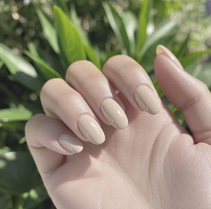 Removable Solid Color Wearable Nail Tips - Set of 24 False Nails