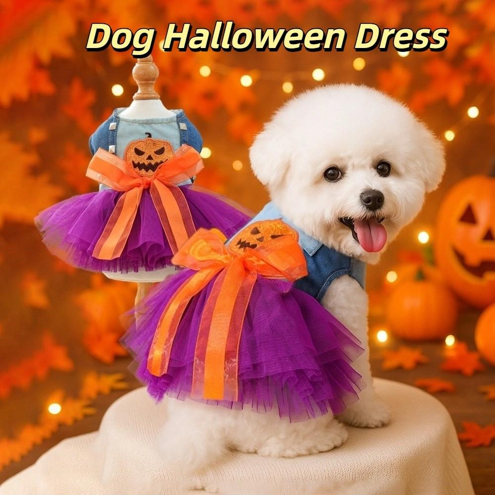 Pumpkin Dog Lace Skirt Soft Small Dog Outfits Pet Supplies Funny Pet Apparel  Pet Show