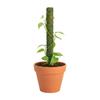 Moss Poles Stackable Moss Pole for Plants Monstera for Climbing Plants Plant Support Stakes Stand for Potted Plants