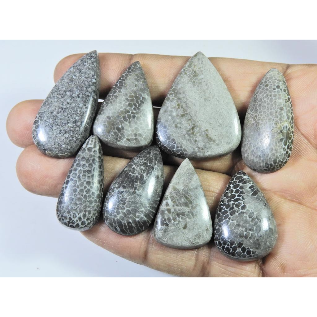 224Cts. Natural Black Fossil Coral Pear Cabochon Loose Gemstone 08 Pcs Lot C-642