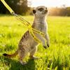 Soft Guinea Pig Harness Escape Proof Ferret Anti Loss Rope Ferret Harness Leash  Small Pets