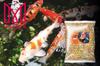 Mersjo Pond Sticks MIX 1.3kg 9L Floating Complete Feed for Koi & Pond Fish