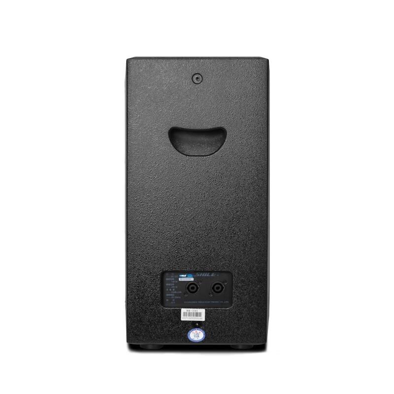 SHILE BX-110 10-inch Professional Conference Speaker