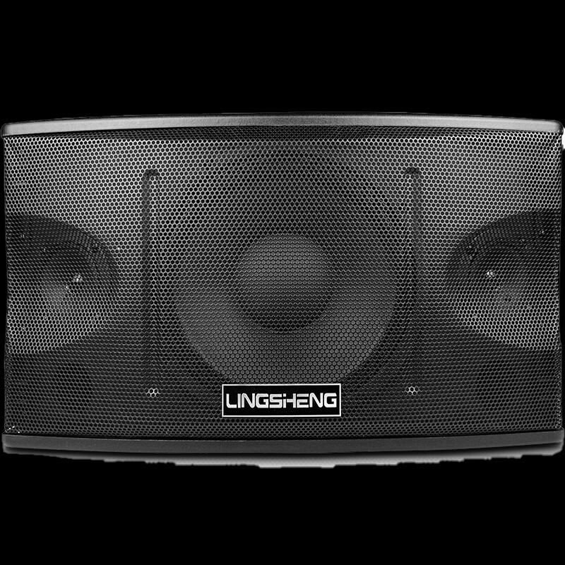 LINGSHENG Professional KTV & Conference Audio Systems