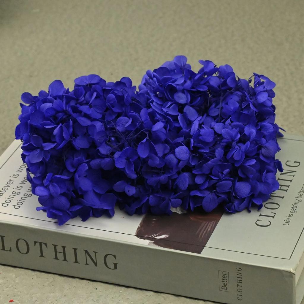 20g Natural Dried Flowers Hydrangea Macrophylla Home Flowers Decoration Wedding Celebration Bouquet Materials