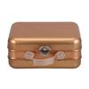 Tin Storage Box with Handle: 7.3x5.3x3.3in Metal Box Empty Treasure Chest - Decorative Keepsake Case with Lid for Cosmetics Game Cards Golden