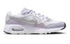 Nike Air Max SC GS 'Violet Frost Metallic Silver' CZ5358-113