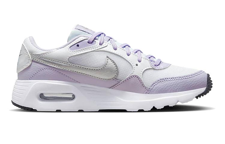 Nike Air Max SC GS 'Violet Frost Metallic Silver' CZ5358-113
