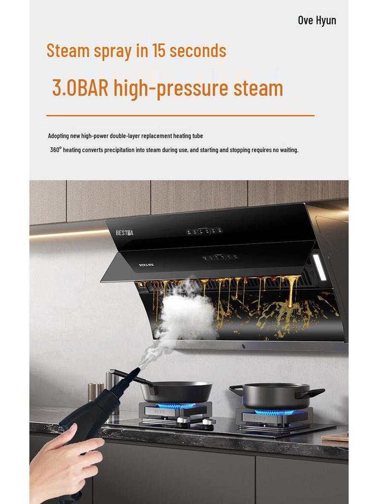 220V/110V High-Temp Steam Cleaner with LCD: Multifunctional Kitchen Cleaning Machine