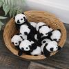 Panda Raccoon Plush Toy With Magnetic Attachment For Kids And Gifts