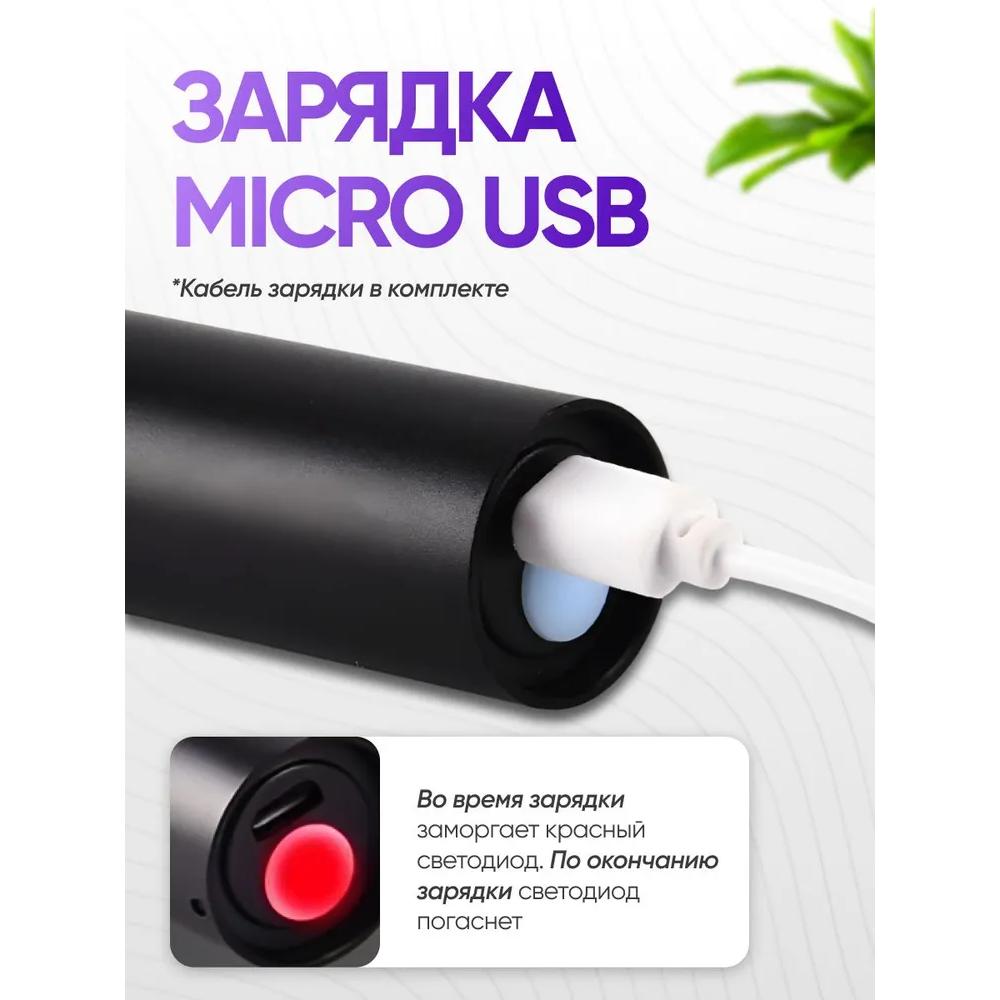 Xiaomi Ultraviolet lantern