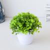 Beautiful Fake Plant Energetic No Withering Plastic Artificial Potted Plants Bonsai