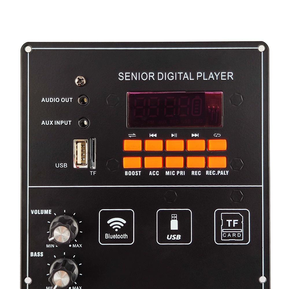 12V 100W Amplifier Board Square Dance Speaker Amplifier Support Bluetooth AUX TF-Card U-Disk Recording 6-12Inch Speaker