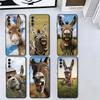 Funny Donkey Animal Soft Phone Case for Samsung A17 A37 A57 A16 A26 A36 A56 A15 A25 A35 A55 A14 A24 A34 A54 A13 A23 A33 A53 A52