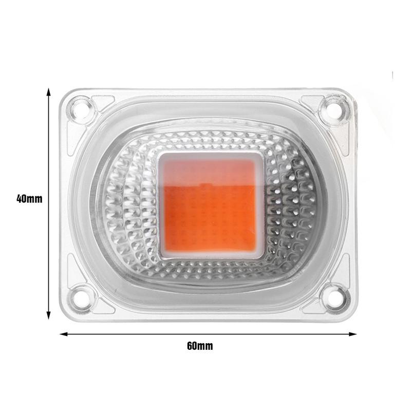 Buy 20/30/50W High Power Full Spectrum COB LED Grow Light Chip Indoor ...