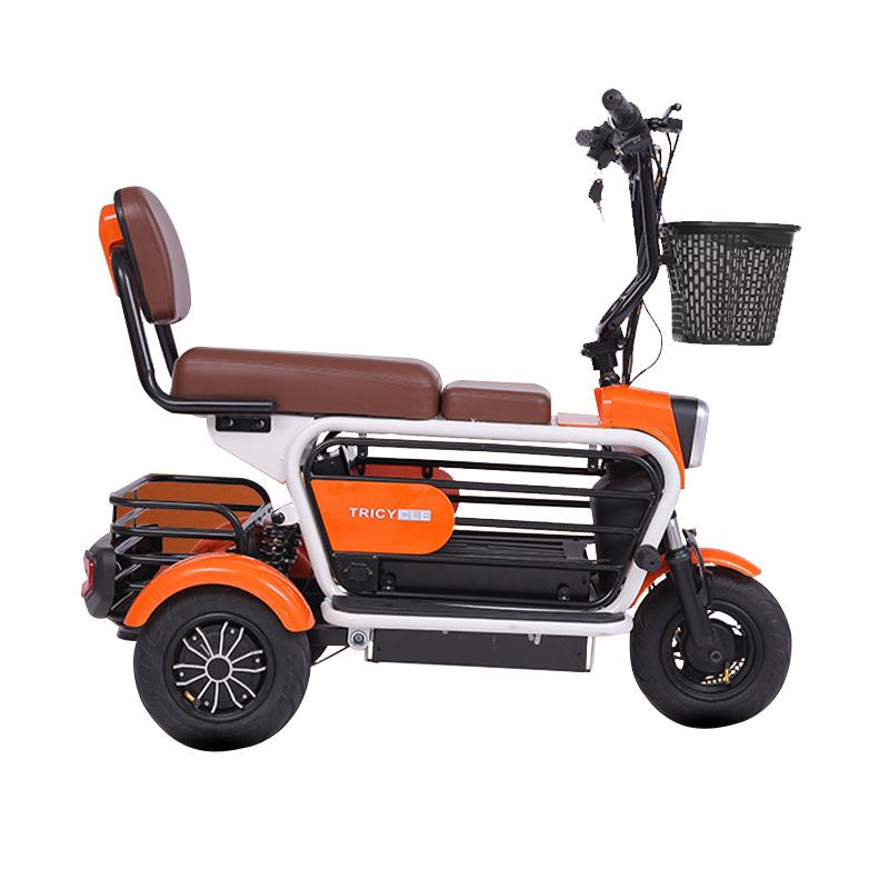 Electric Mobility Tricycle Scooter for Elderly and Pets - Customizable for Travel