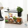 Transparent Desktop Aquarium with Lid Turtle Tank Durable Ecological Water Tank  for Home