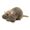 VIAHART Rat Reuben Plush - Gray - Small - 7 Inches - Realistic Stuffed Animal