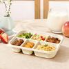 Biodegradable Corn Starch 6-Compartment Disposable Lunch Box