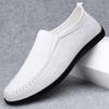 Fashion Fashion Genuine Leather Casual Shoes 2025 New Men Flats Slip-on Men's Dress Loafers Spring Autumn Soft-soled Male Driving Shoes