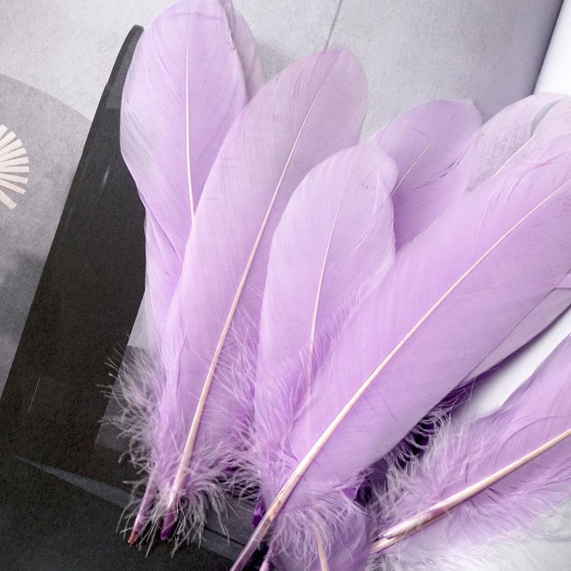50Pcs White Feather Goose Feather Hard Floating Dream Net Decorative Wings Sun Flower Wall Decoration Kindergarten Handmade Art Class Materials
